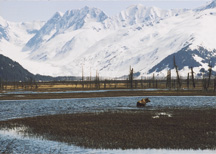 Images of Alaska exhibition image