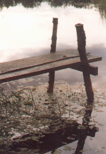 The Dock